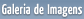 Galeria de Imagens