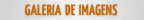 Galeria de Imagens