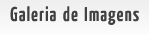 Se��o especial dedicada a imagens, fotos, screenshots, etc dos Cavaleiros do Zod�aco!