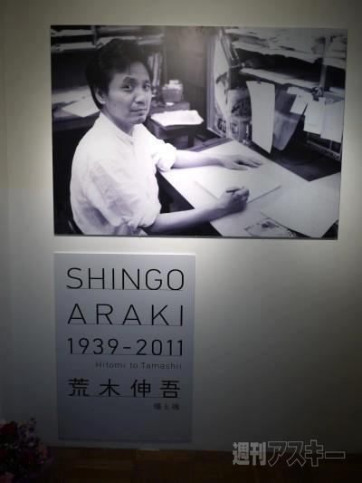 Shingo Araki