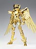 Seiya de Pgaso God Cloth OCE