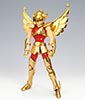 Seiya de Pgaso V1 Gold