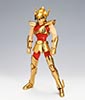 Seiya de Pgaso V1 Gold