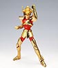 Seiya de Pgaso V1 Gold