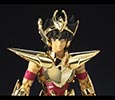 Seiya de Pgaso V3 Genialogical Gold