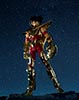 Seiya de Pgaso V3 Genialogical Gold